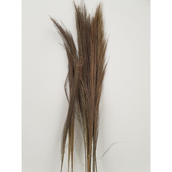 BROOM GRASS NATURAL +/-100GR