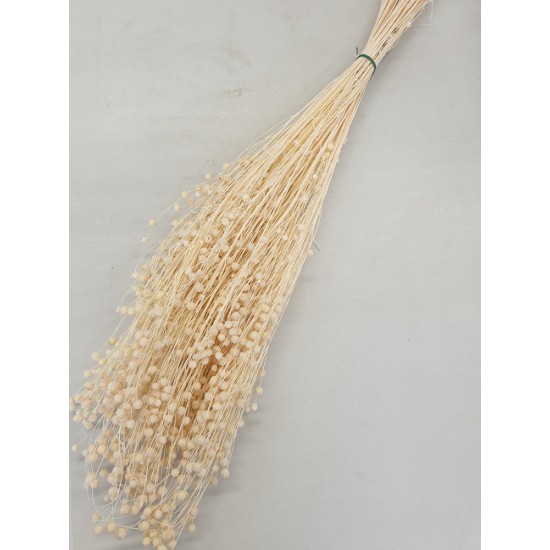 LINUM (FLAX) BLEACHED +/-100GR