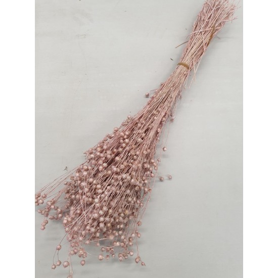 LINUM (VLAS) PEARL PINK +/-100GR