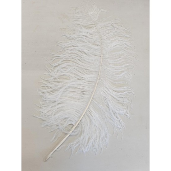 PLUMES AUTRUCHE DRAB +60CM BLANC 1PC