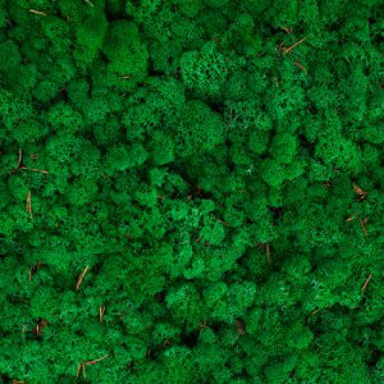 ICELANDIC MOSS SPRING GREEN 5KG