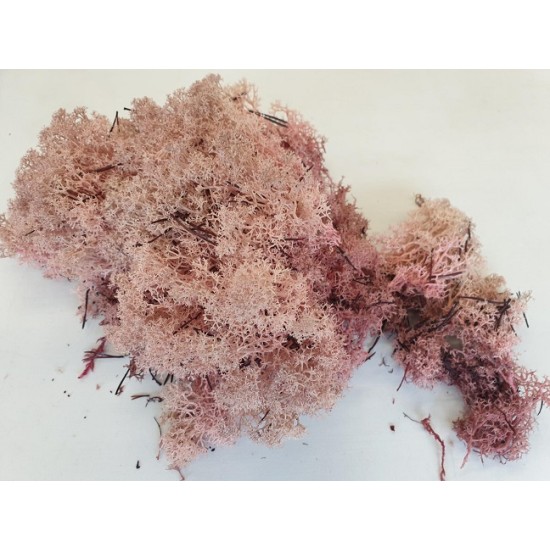 ICELANDIC MOSS PRESERVED POWDER PINK +/-450GR