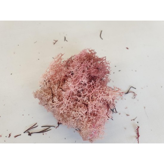 ICELANDIC MOSS POWDER PINK +/-50GR