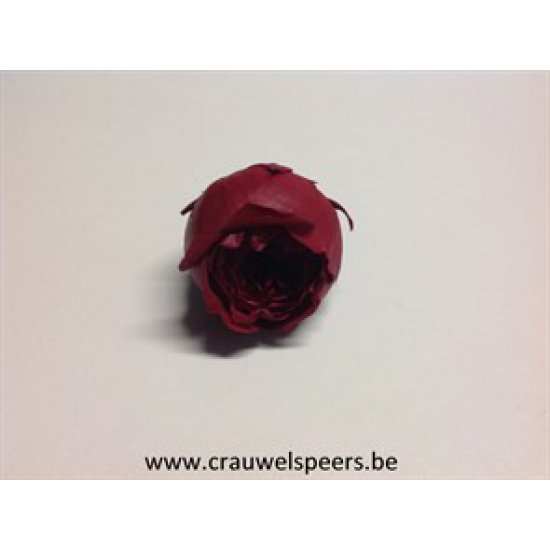 PRESERVED ROSE (ENGLISH ROSE JULIANA) +/-3,5CM BORDEAUX 6PCS