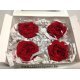 PRESERVED ROSE (ENGLISH ROSE KATE) +/-5CM RED 4PCS