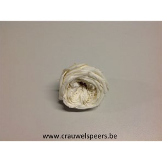 PRESERVED ROSE (ENGLISH ROSE KATE) +/-5CM WHITE 4PCS