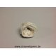 ROSE STABILISEE (ENGLISH ROSE KATE) +/-5CM BLANC 4PCS