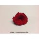 PRESERVED ROSE (ENGLISH ROSE PIPA) +/-4CM RED 6PCS