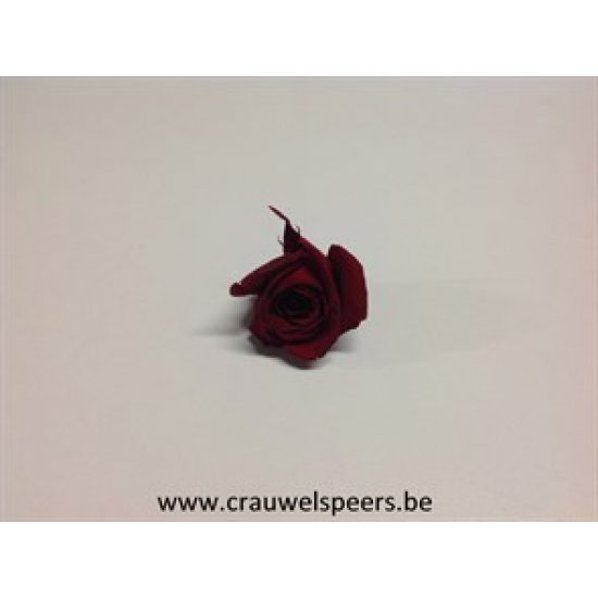 PRESERVED ROSE (KITTY) +/-3.5CM BORDEAUX 9PCS