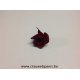 GECONSERVEERDE ROOS (KITTY) +/-3.5CM BORDEAUX 9ST