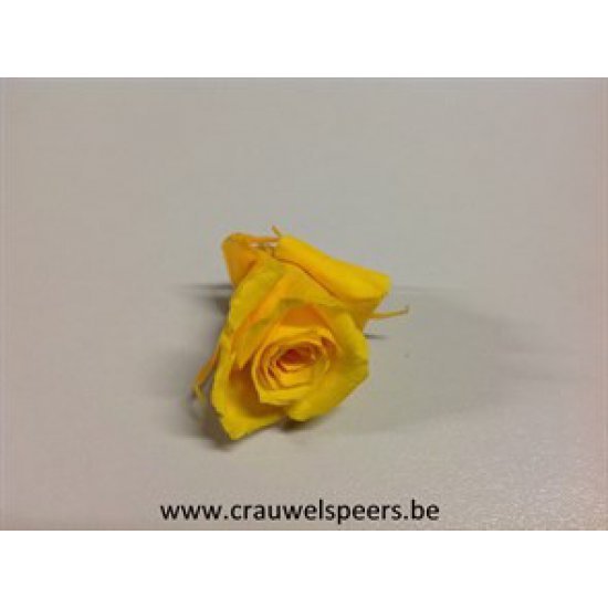 ROSE STABILISEE (KITTY) +/-3.5CM JAUNE 9PCS