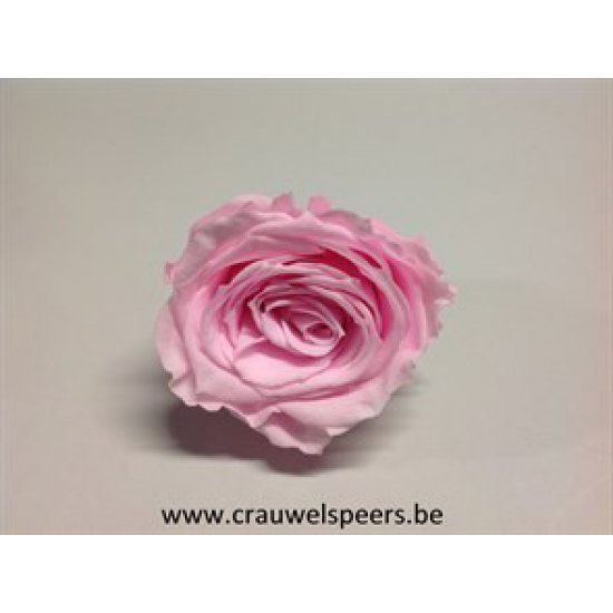 PRESERVED ROSE (LARGE OPEN) +/-6.5CM ROSE  4PCS