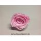 PRESERVED ROSE (LARGE OPEN) +/-6.5CM ROSE  4PCS