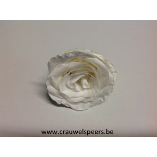 ROSE STABILISEE (LARGE OPEN) +/-6.5CM BLANC 4PCS