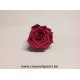 PRESERVED ROSE (MEDIUM OPEN) +/- 4.5CM FLAMINGO 6PCS