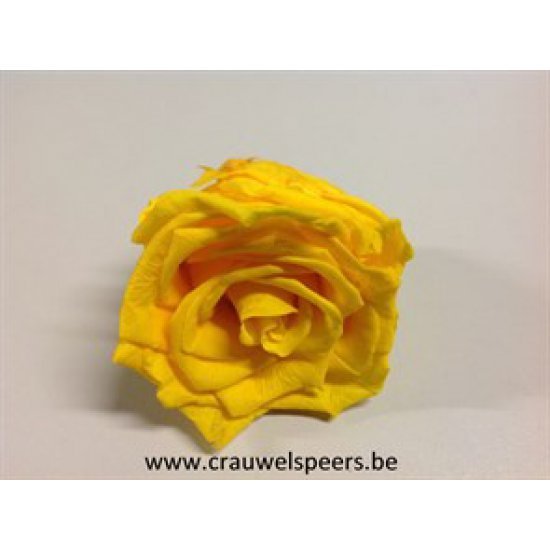 PRESERVED ROSE (MEDIUM OPEN) +/- 4.5CM YELLOW 6PCS