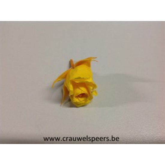 ROSE STABILISEE (MINI) +/-2.5CM JAUNE 12PCS