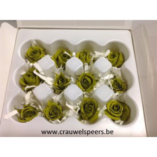 ROSE STABILISEE (MINI) +/-2.5CM VERT OLIVE 12PCS