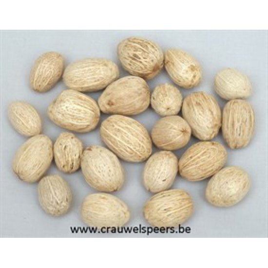 AMRA PODS BLEACHED +/-500GR