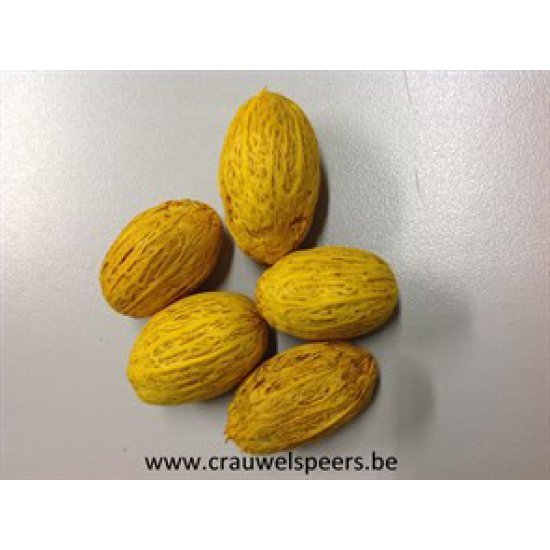 AMRA PODS YELLOW +/-500GR