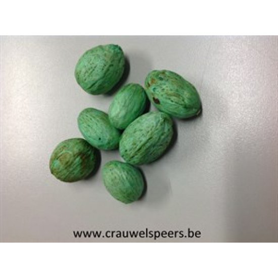 AMRA PODS MENTHE +/-500GR