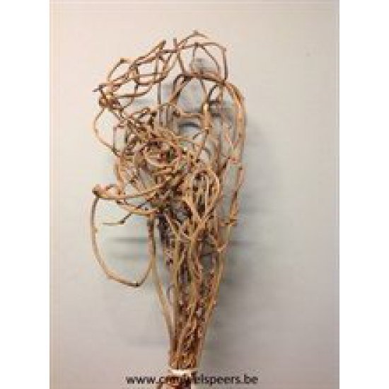 BRANCHES DE KIWI NATUREL 10PCS