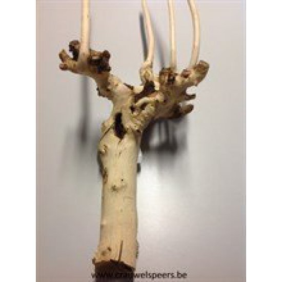 KUWA ROOT BLEACHED 60CM