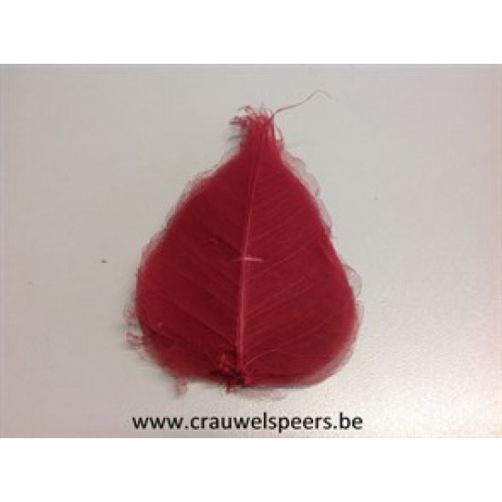 SKELETON LEAF RED