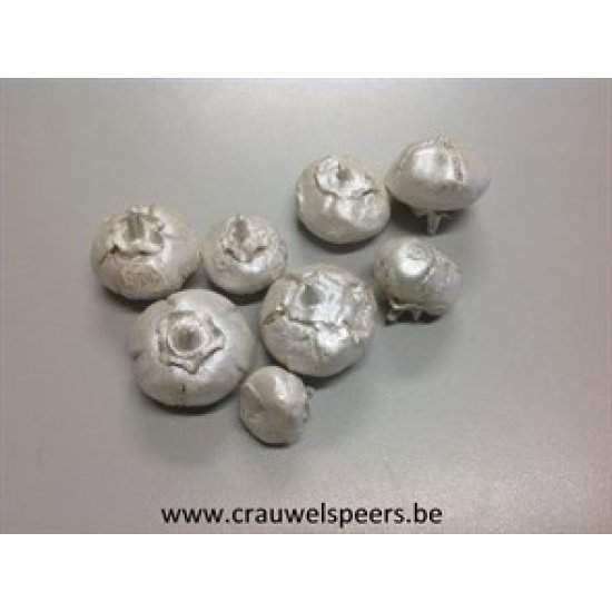 WILD APPLE MINI ROUGH PEARL WHITE +/-500GR