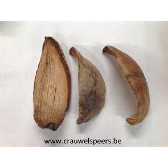 COCO HUSK NATURAL +/-500GR