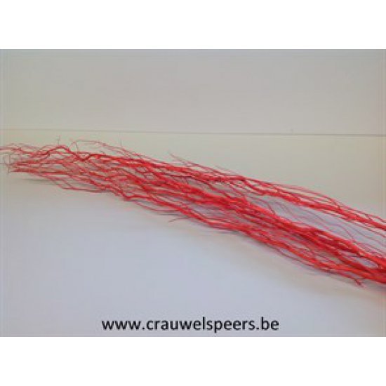 SALIX ROOD 5ST