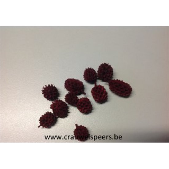 CASURINA RED +/-1KG