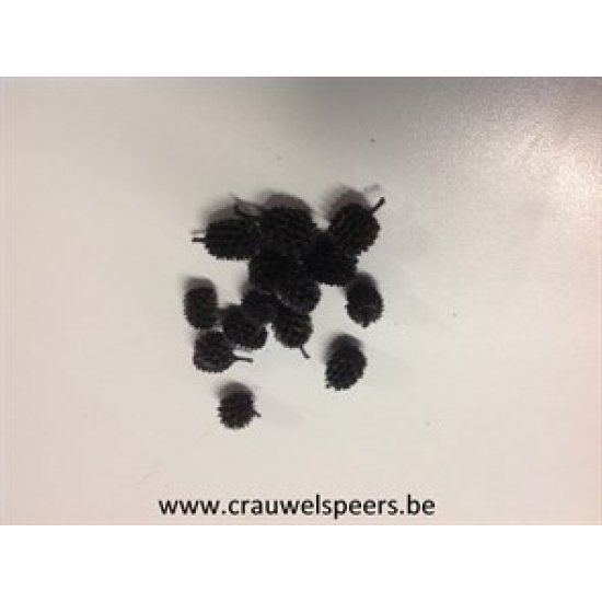 CASURINA NOIR +/-1KG