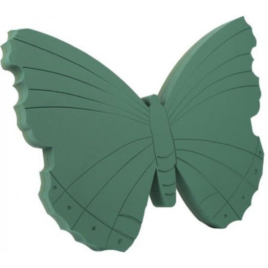 FOAM FRAME PAPILLON 58X44CM 1PC