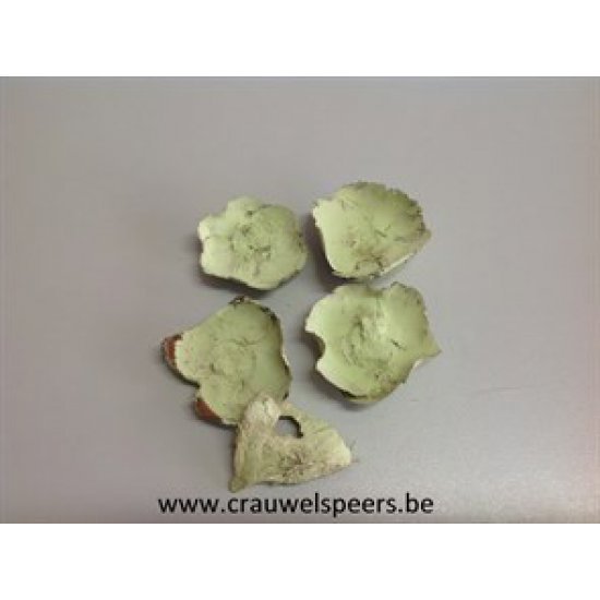 COCO FLOWER MUNT 250GR