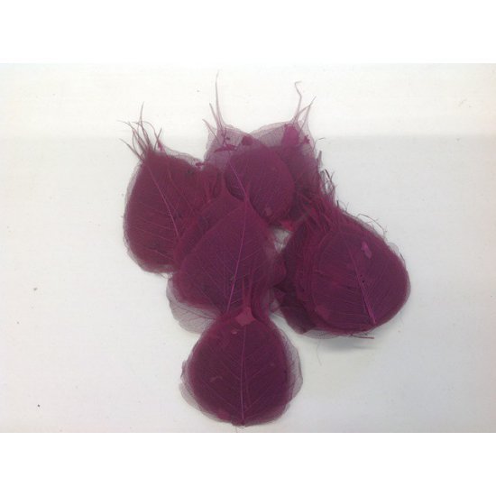 FEUILLE SQUELETTE AUBERGINE 100PCS