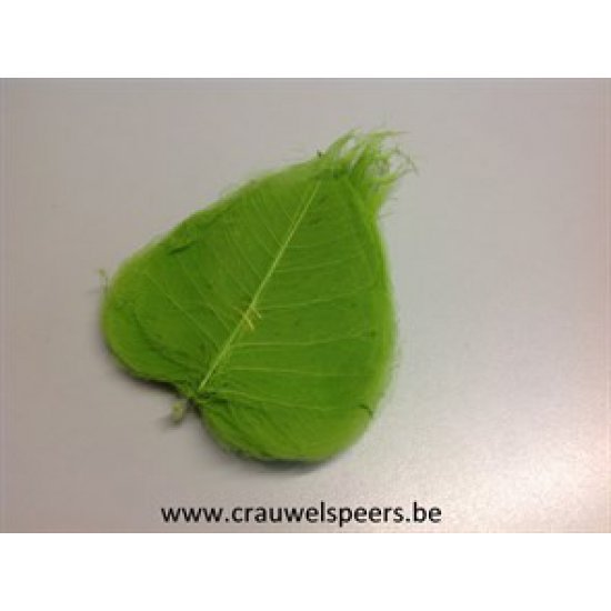 SKELETON LEAF OLIVE GREEN (LIGHT) 100PCS