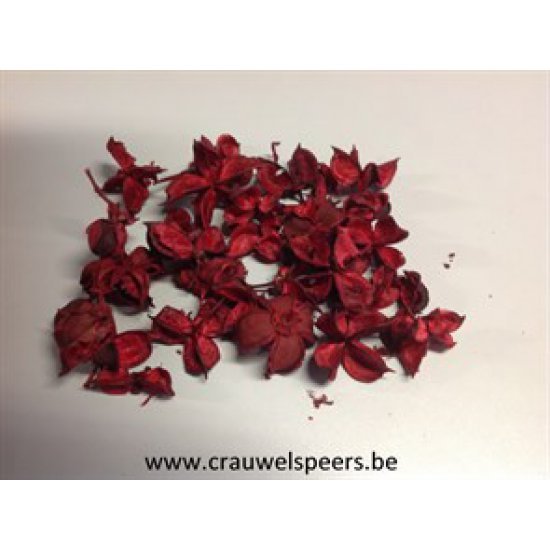 COTTON PODS ROOD +/-250GR