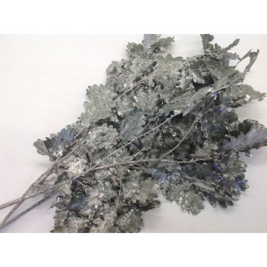 OAK PRESERVED (STABILIZED) GREEN/PLATINUM +/-150GR