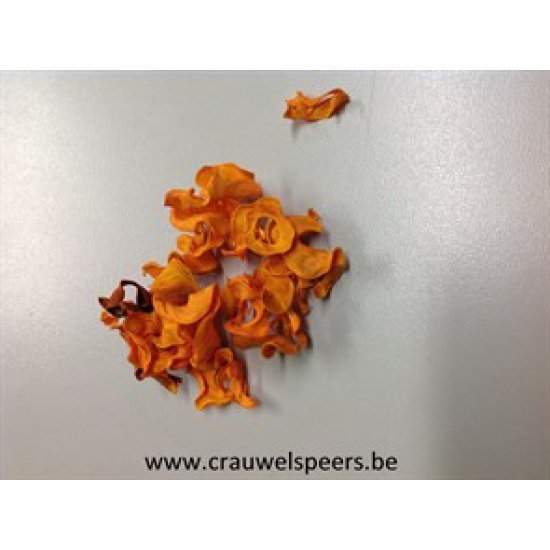 CURLY PODS ORANJE (ABRIKOOS) +/-250GR