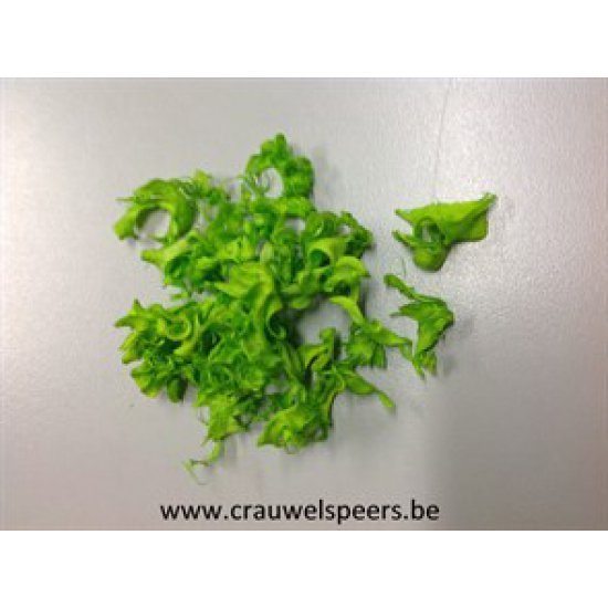 CURLY PODS LIME GREEN +/-250GR