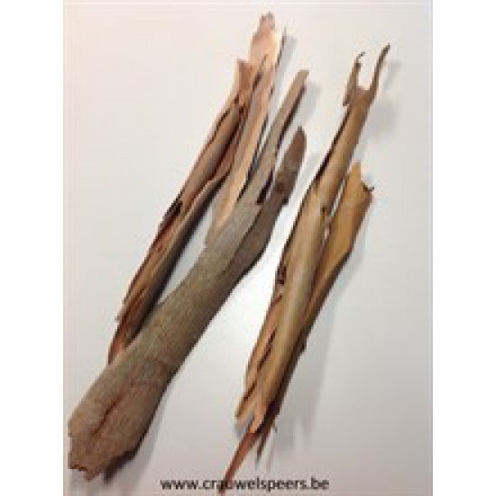 EUCALYPTUS BARK BLEACHED +/- 500GR