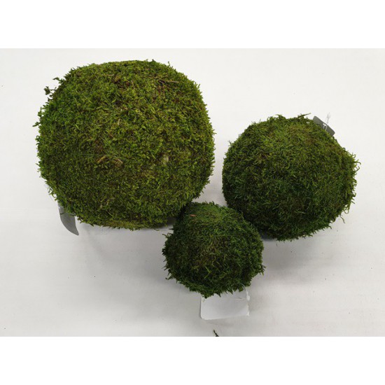 SPHERE GREEN MOSS PRESERVED 10CM