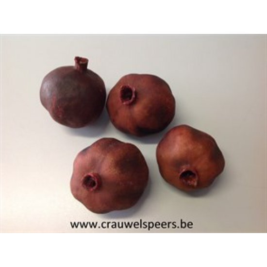 GRANAATAPPELS NATUREL 12ST