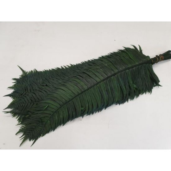 SWORD FERN PRESERVED GREEN 40PCS