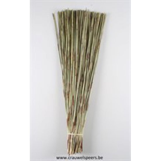 COFFEE CANE NATURAL 80CM +/-1KG