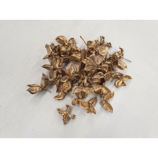 COTTON PODS NATUREL +/-250GR