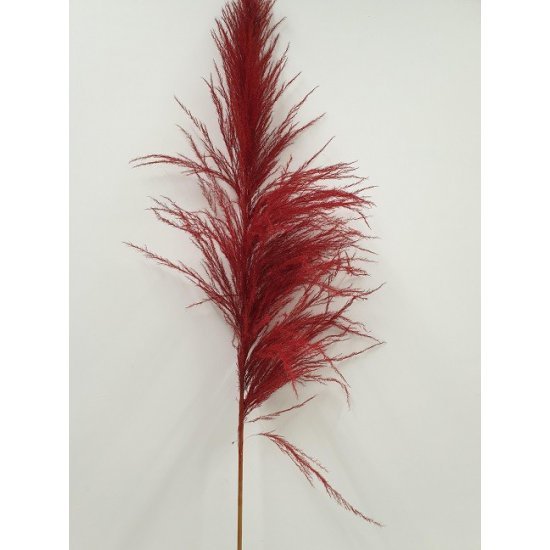 PAMPAS ROUGE 150/160CM 5PCS