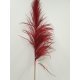 PAMPAS ROOD 150/160CM 5ST