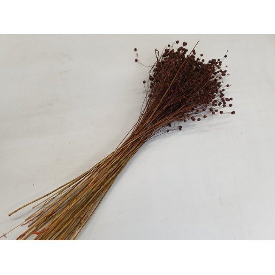 LINUM (FLAX) BROWN +/-100GR